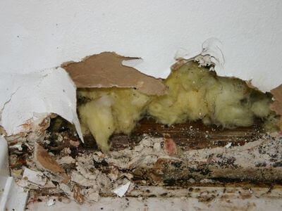 About Frostvex Link - water damage restoration experts in Covina